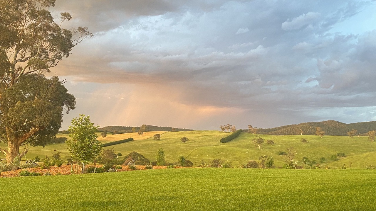 Photo of Outdoor in Greendale