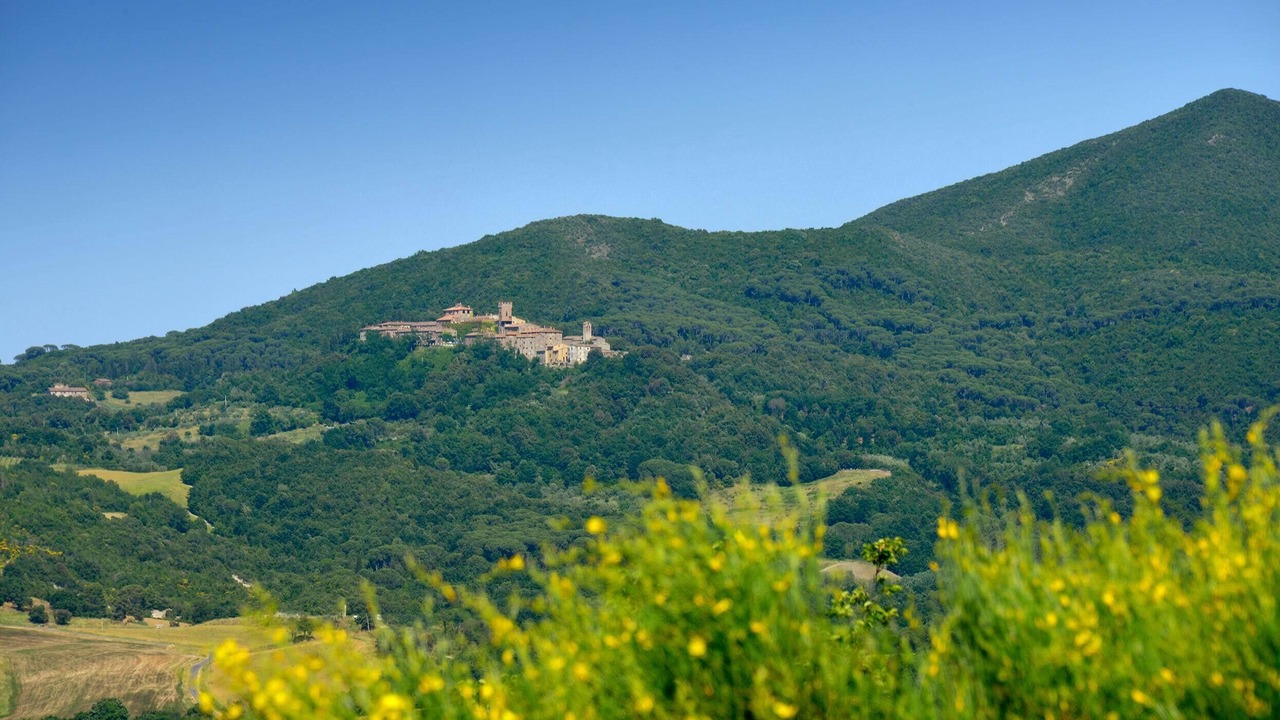Photo of Outdoor in Bibbona