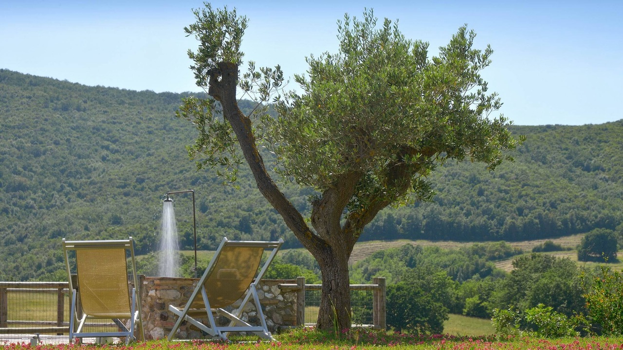 Photo of Outdoor in Bibbona