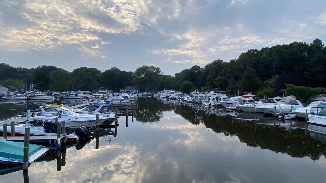 Photo of Others in South Haven