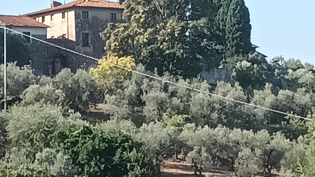 Photo of Others in Monsummano Terme