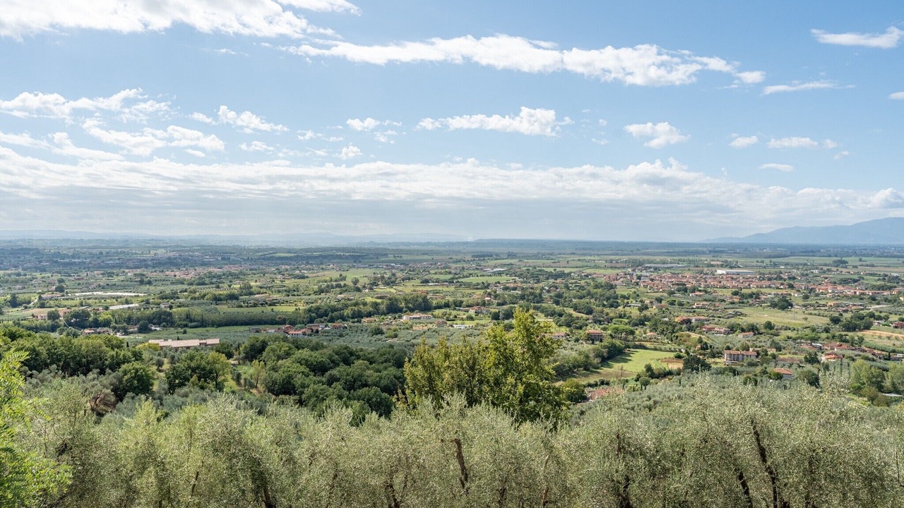 Photo of Others in Monsummano Terme