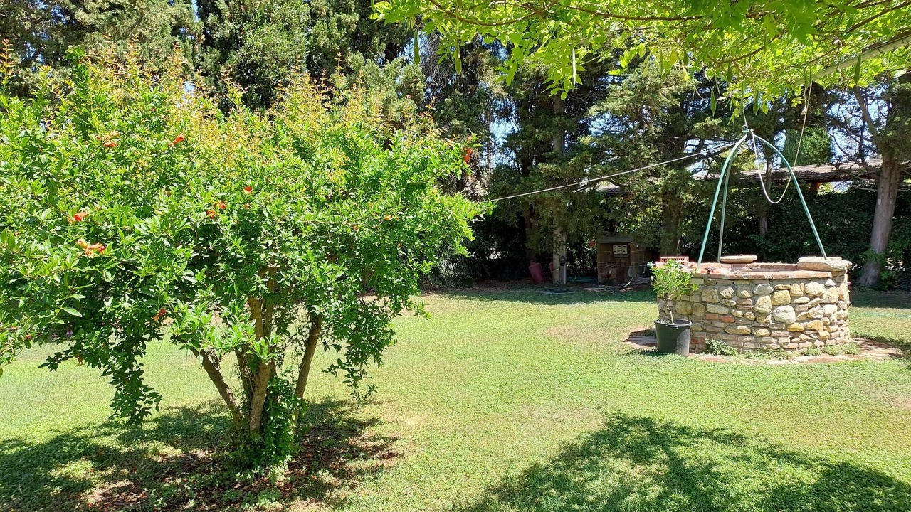 Photo of Outdoor in Rosignano Marittimo
