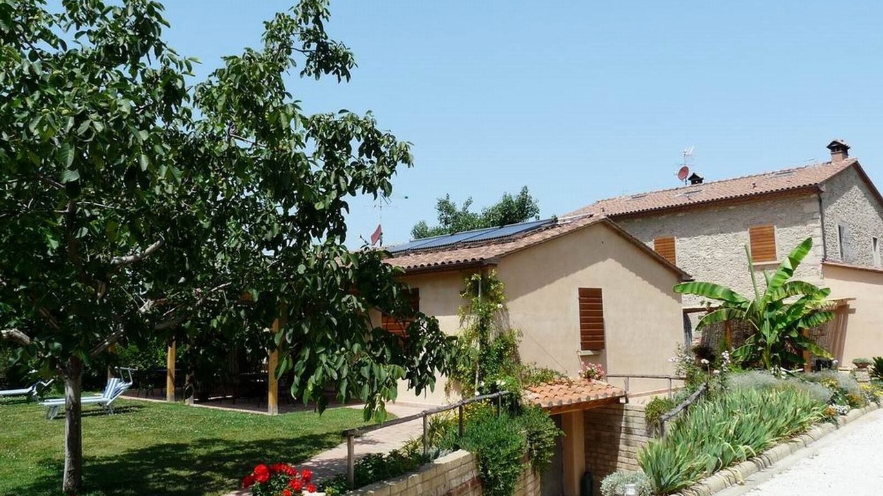 Photo of Outdoor in Rosignano Marittimo