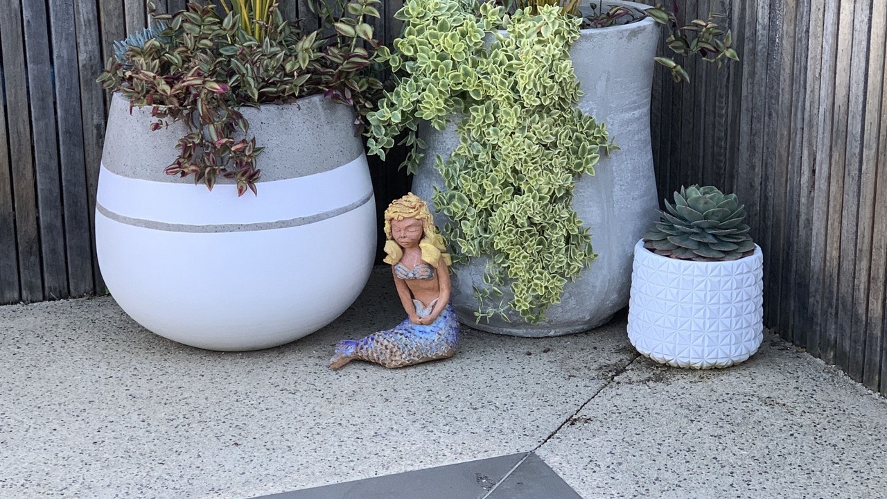 Photo of Outdoor in Rye