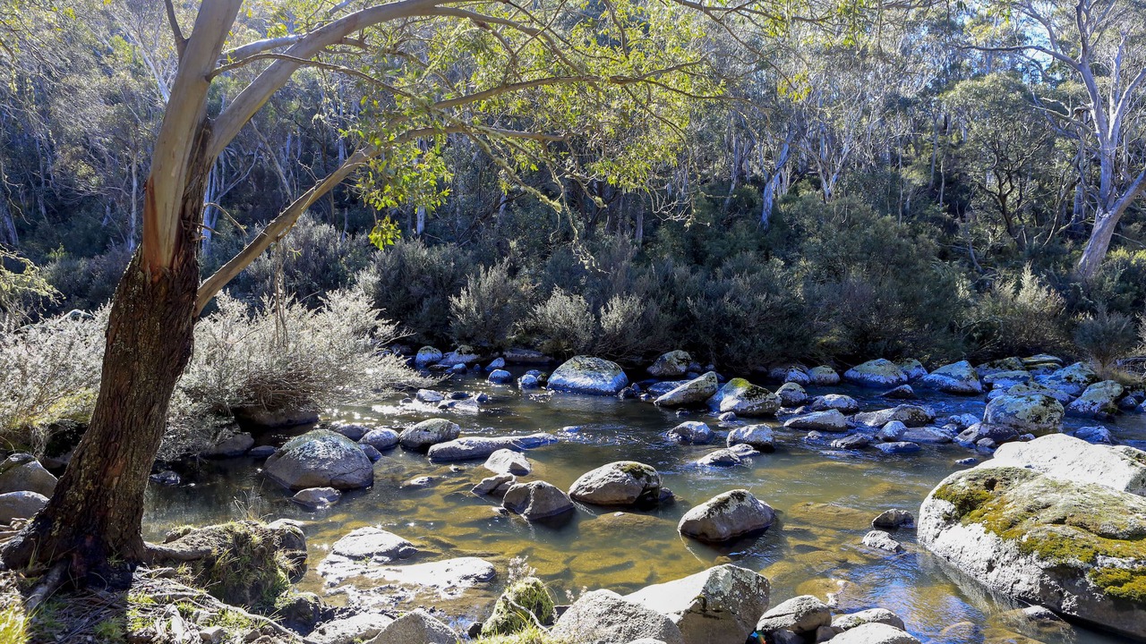 Photo of Outdoor in Moonbah