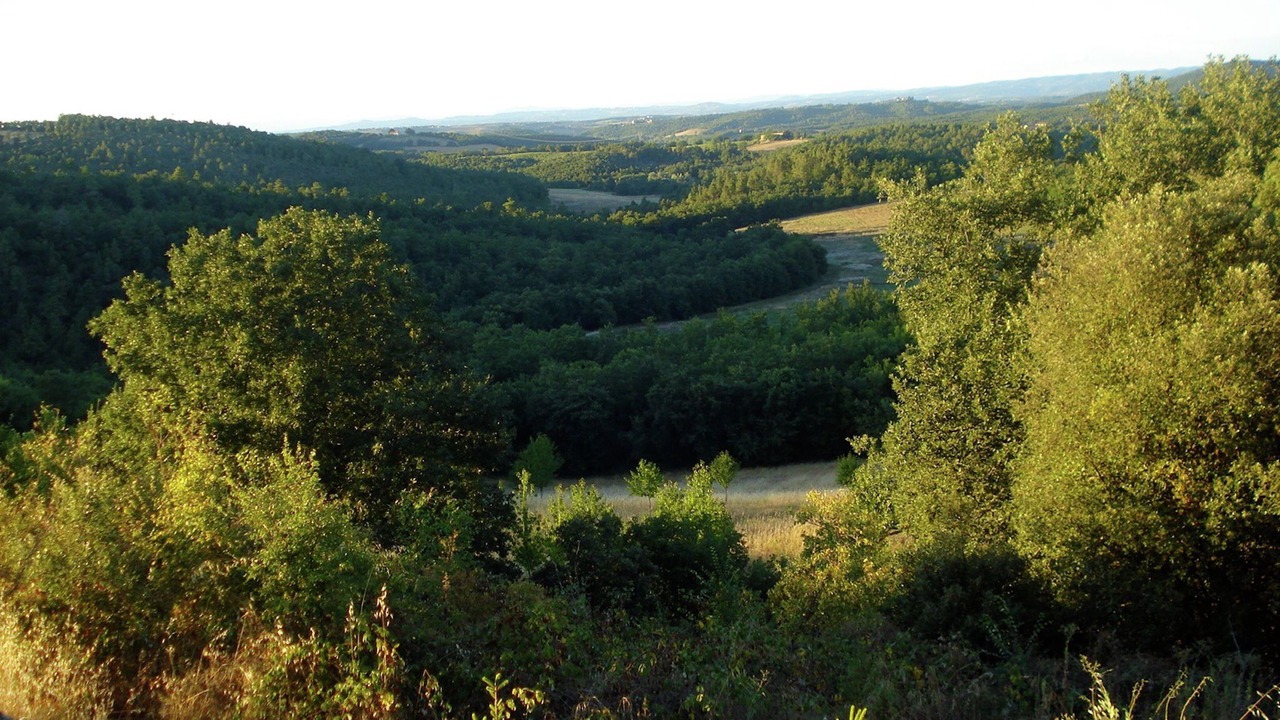 Photo of Others in Casole d'Elsa