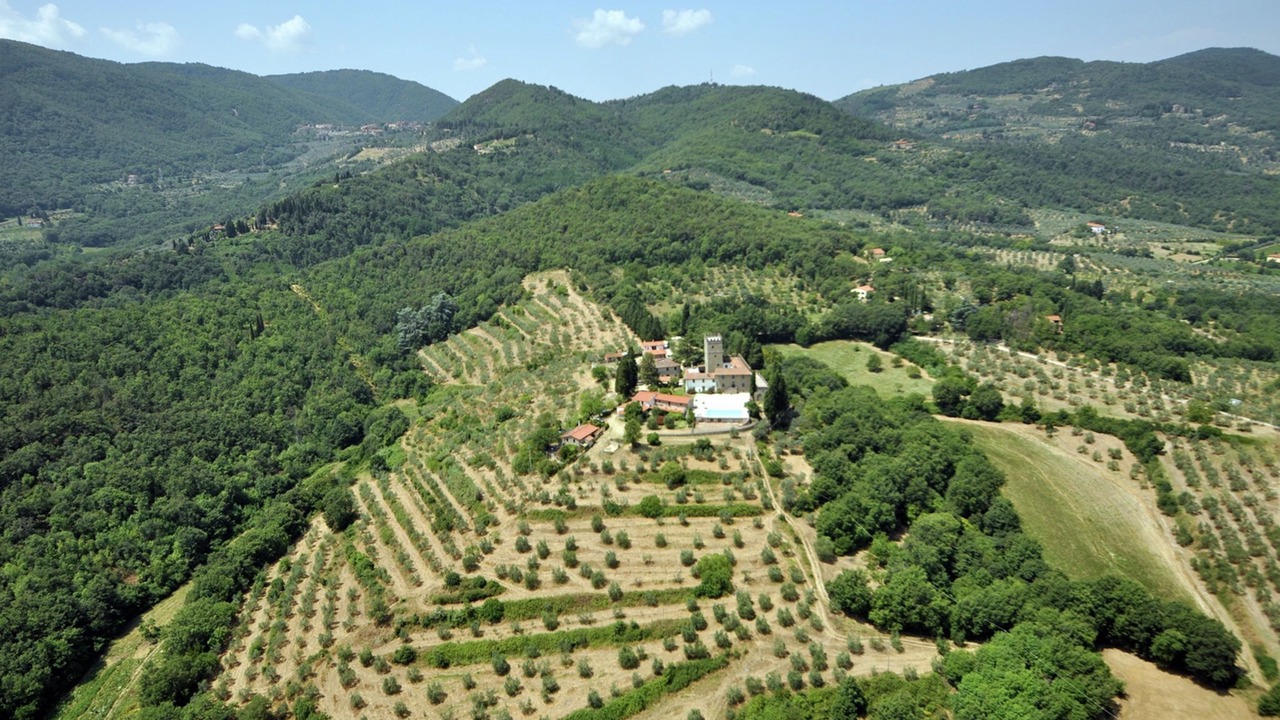 Photo of Others in Figline e Incisa Valdarno