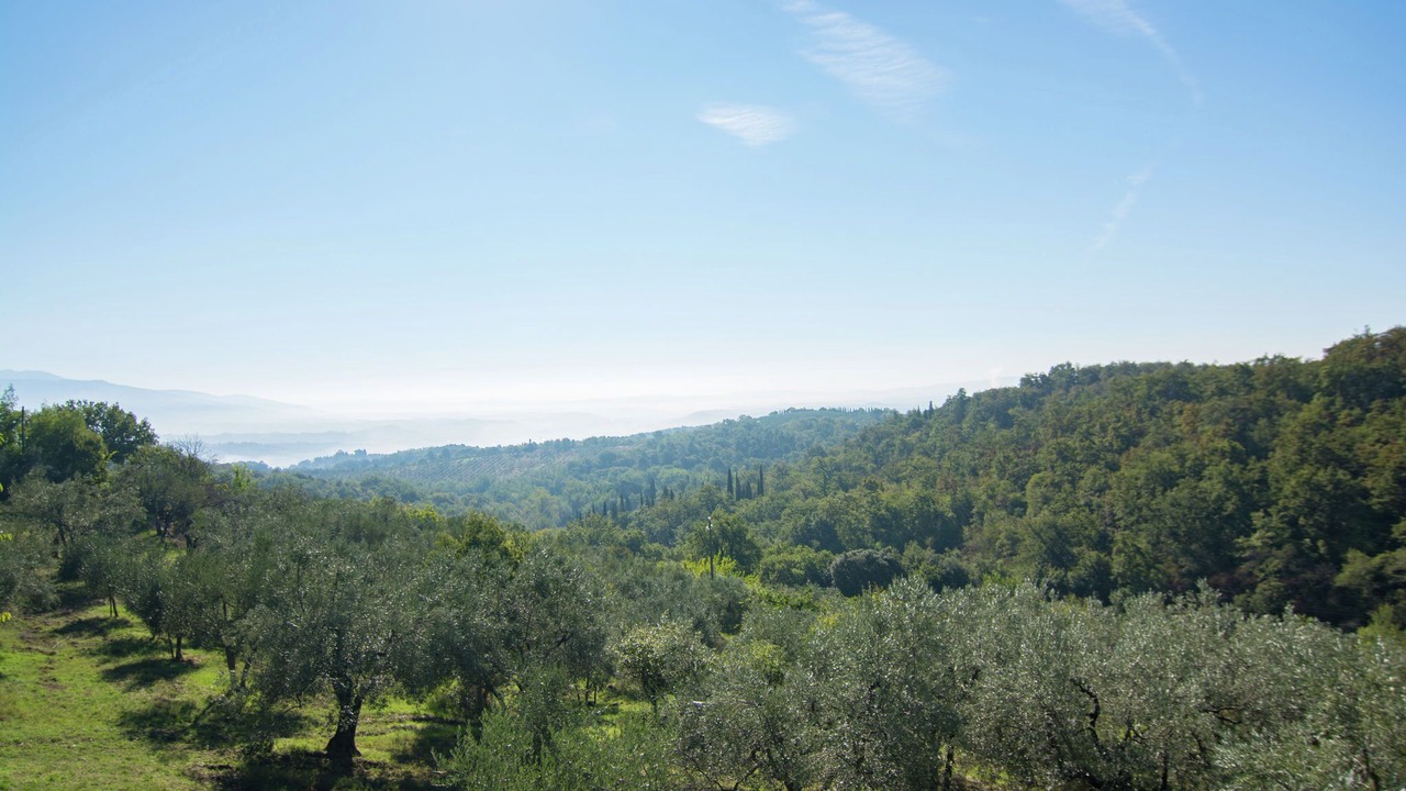 Photo of Others in Figline e Incisa Valdarno