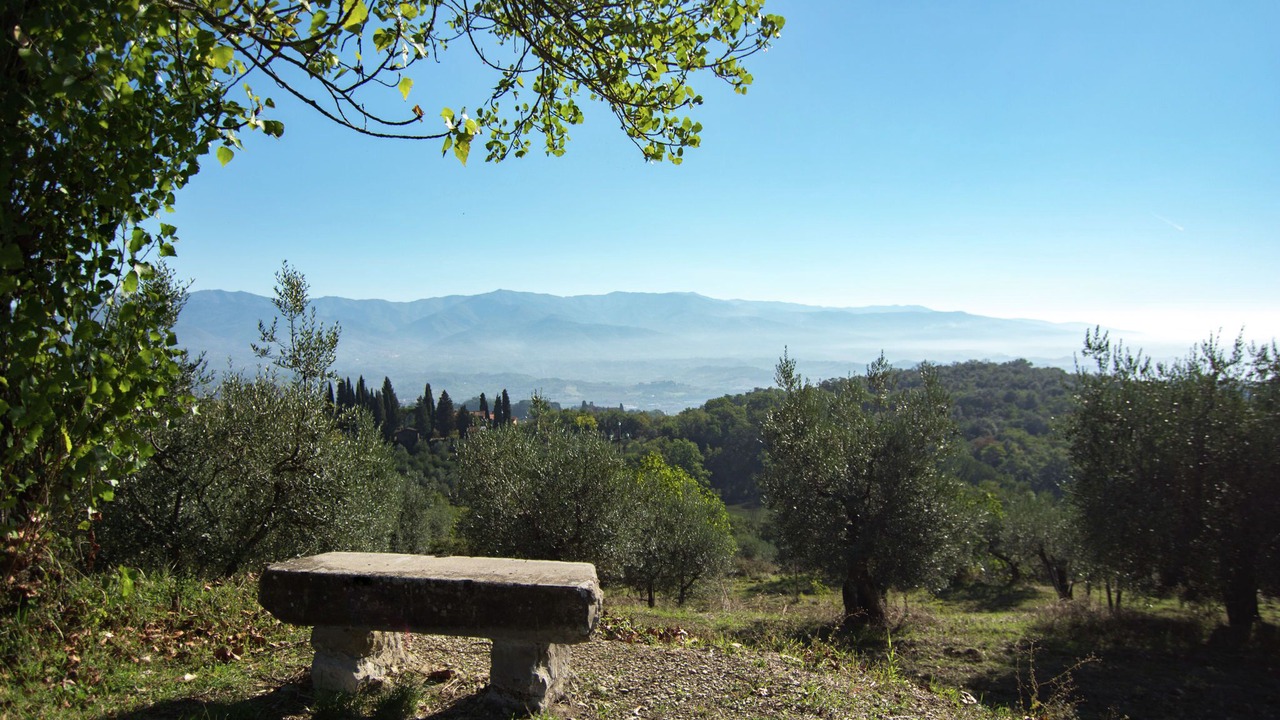 Photo of Outdoor in Figline e Incisa Valdarno
