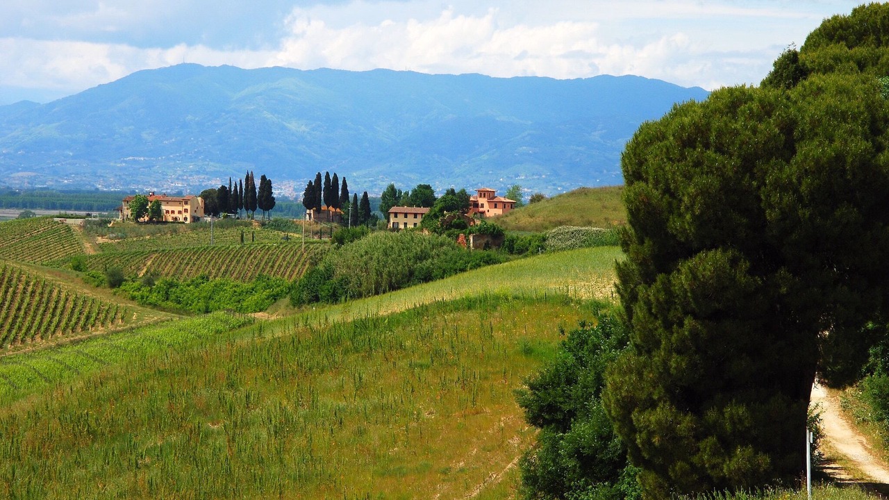 Photo of Outdoor in Stabbia