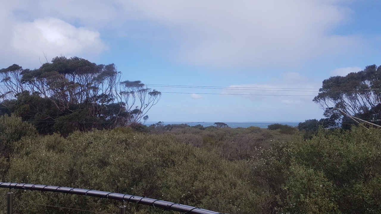 Photo of Others in Cape Paterson