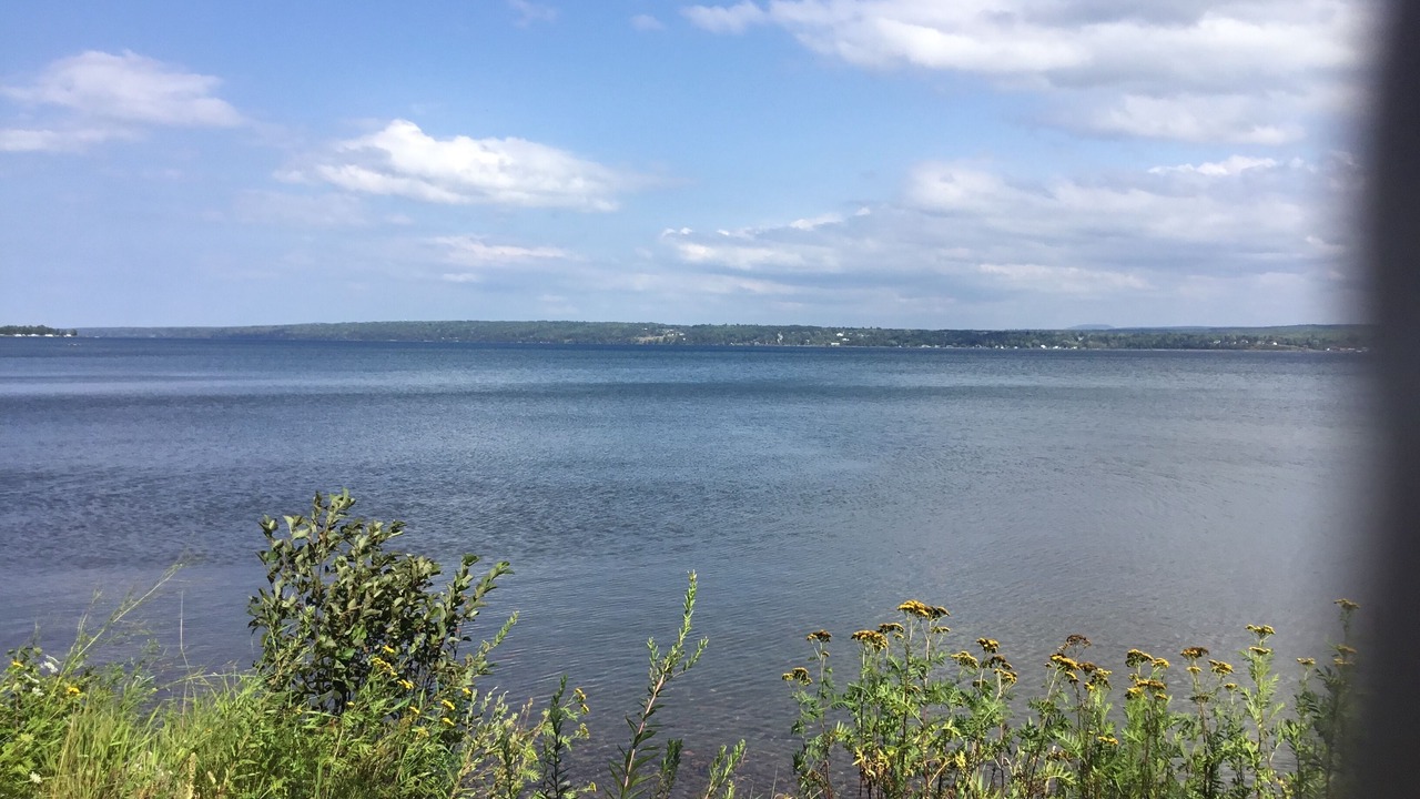 Photo of Others in Baraga