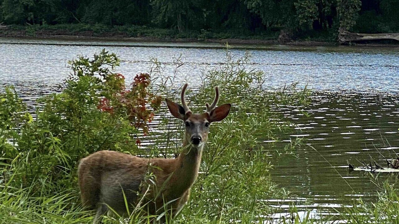 Photo of Outdoor in Waterville