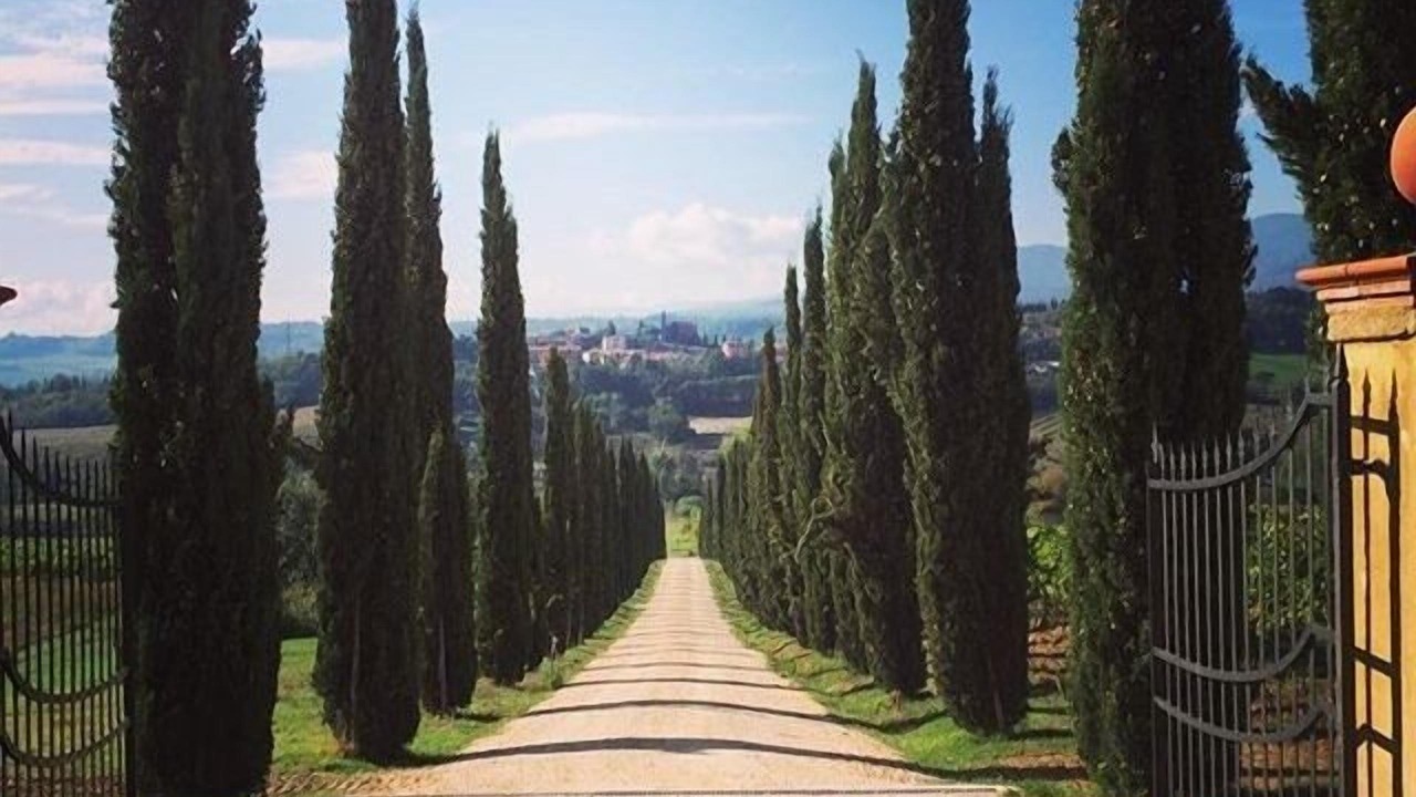 Photo of Outdoor in Rignano sull'Arno