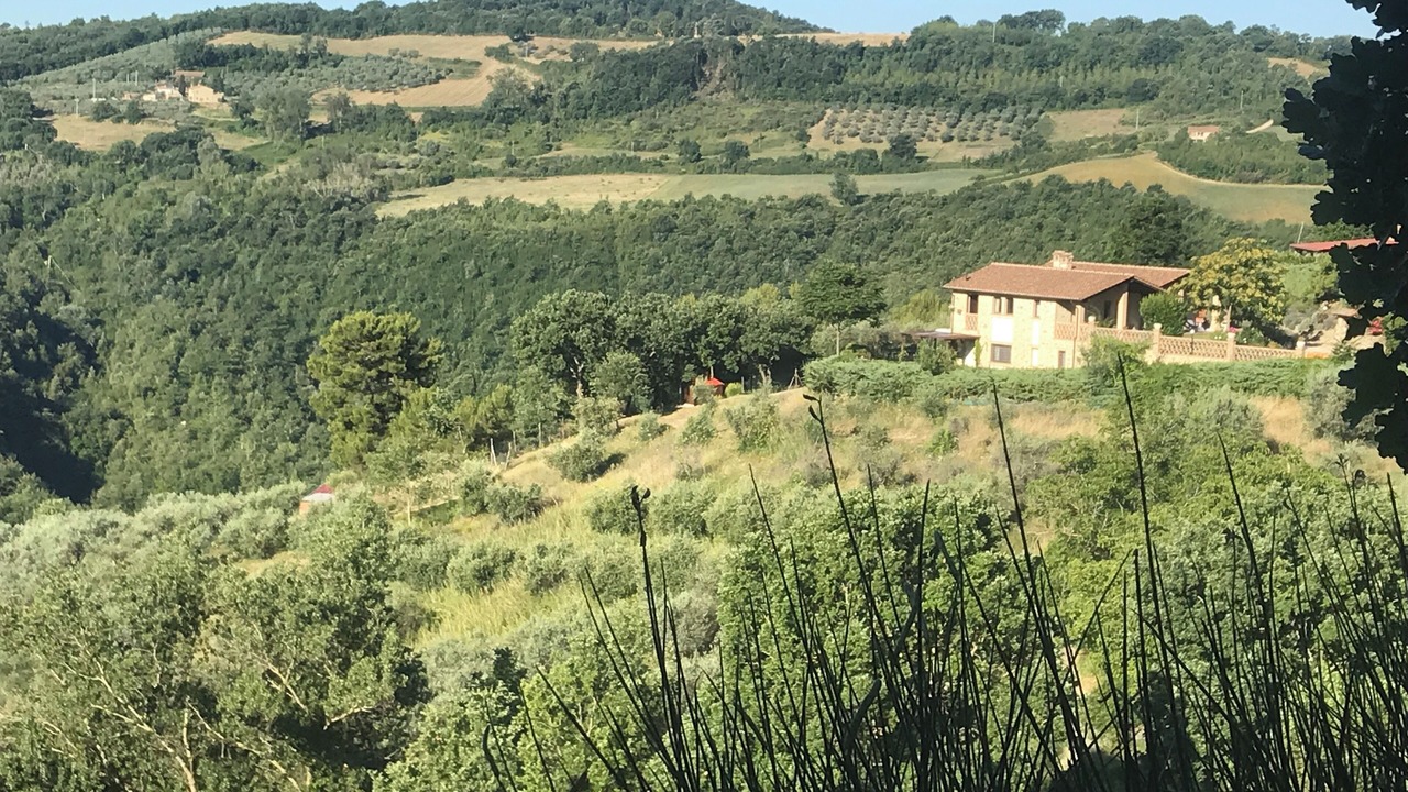 Photo of Others in Gualdo Cattaneo