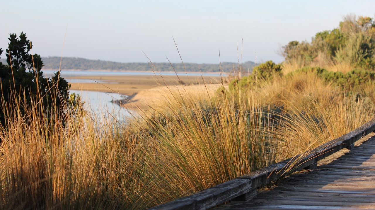 Photo of Others in Inverloch