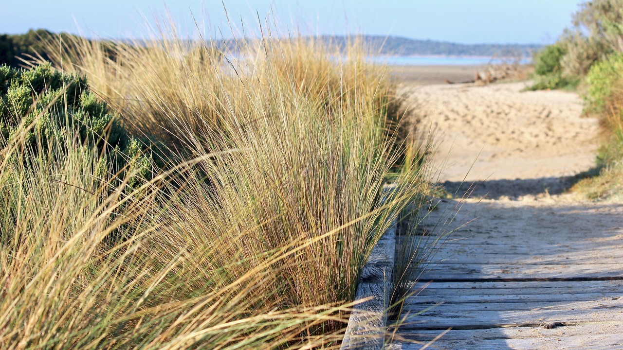 Photo of Outdoor in Inverloch