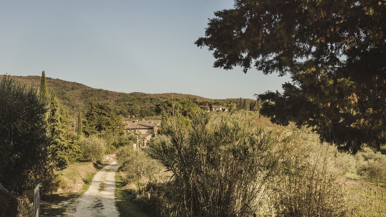 Photo of Others in Greve in Chianti