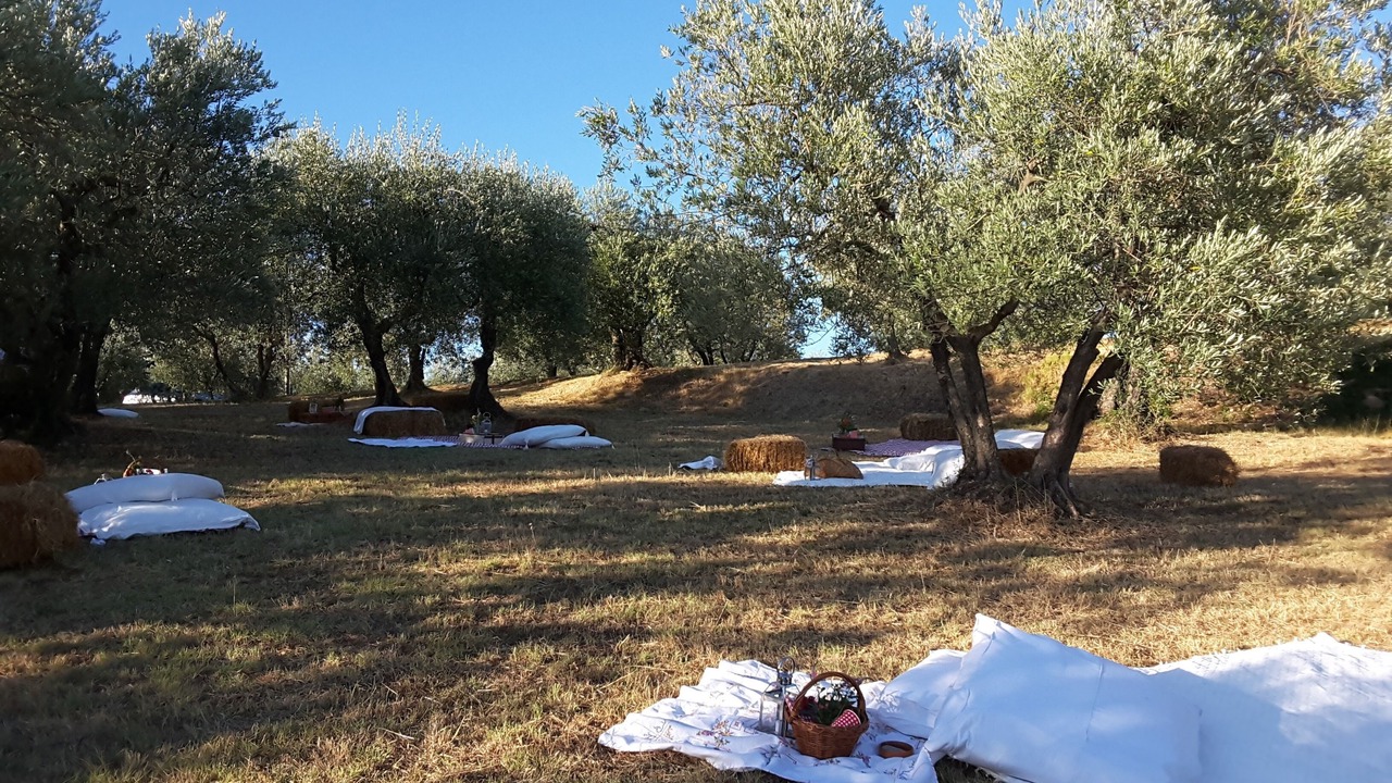 Photo of Outdoor in Greve in Chianti