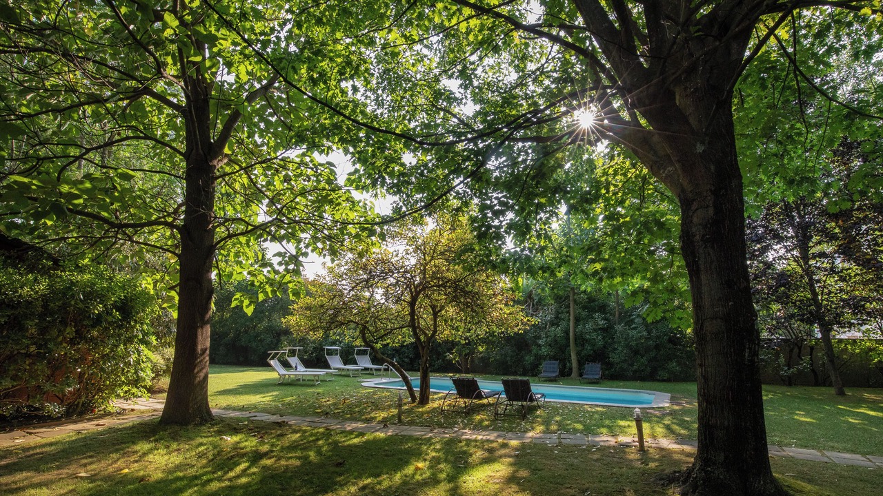 Photo of Outdoor in Capannori