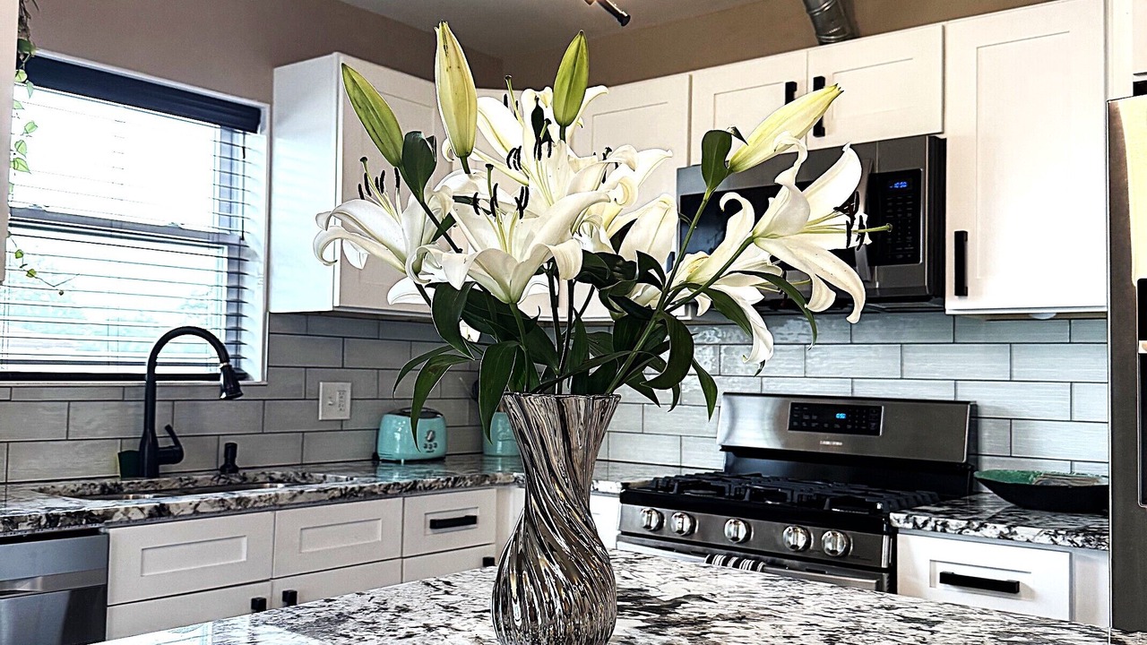 Photo of Kitchen in Oak Lawn