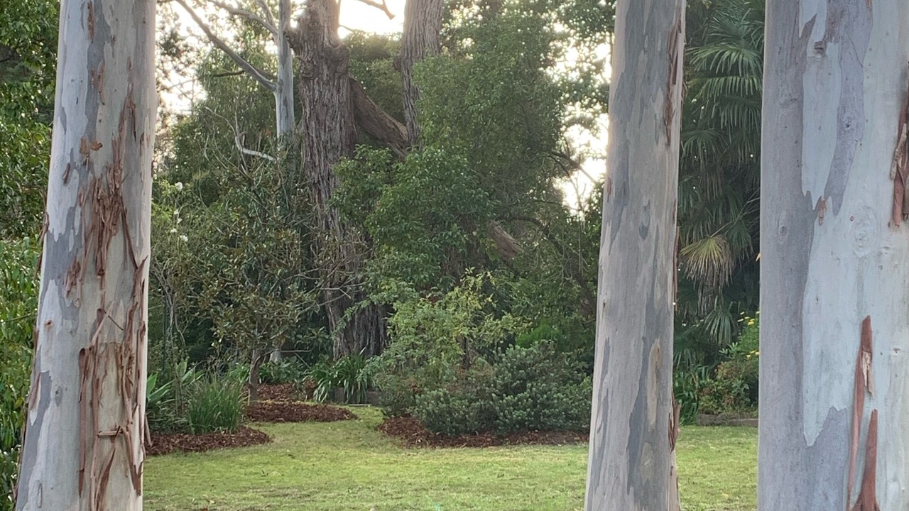 Photo of Outdoor in Healesville