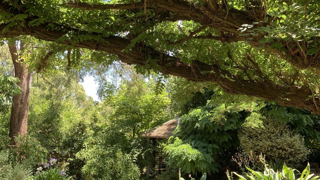 Photo of Outdoor in Healesville