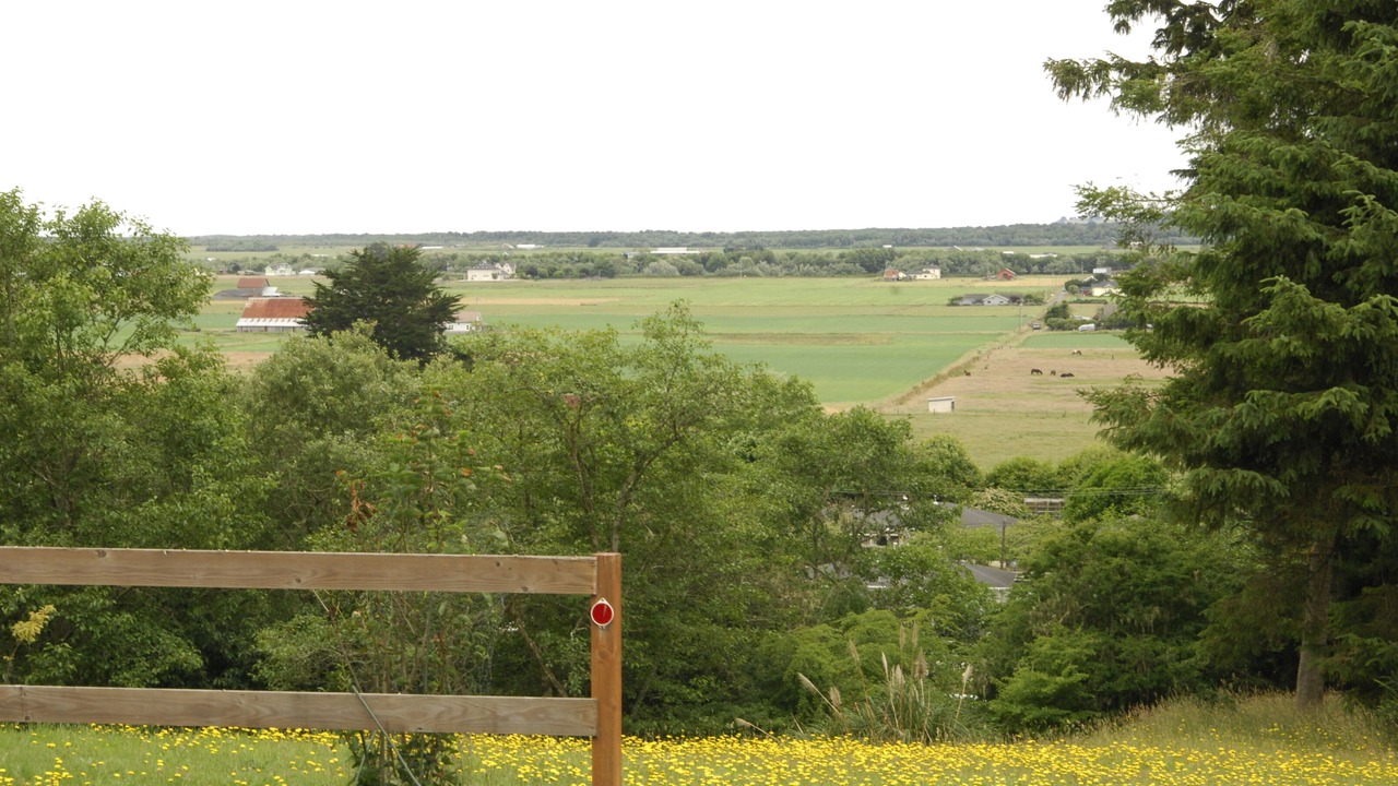 Photo of Outdoor in Ferndale