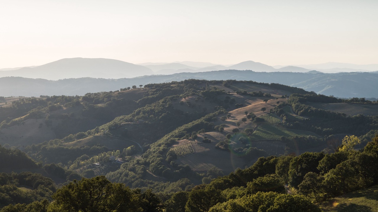 Photo of Others in Assisi