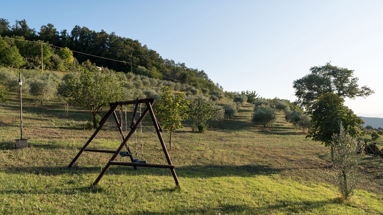 Photo of Others in Assisi