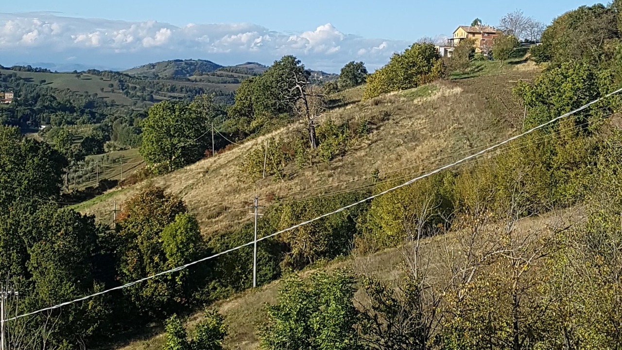 Photo of Others in San Presto