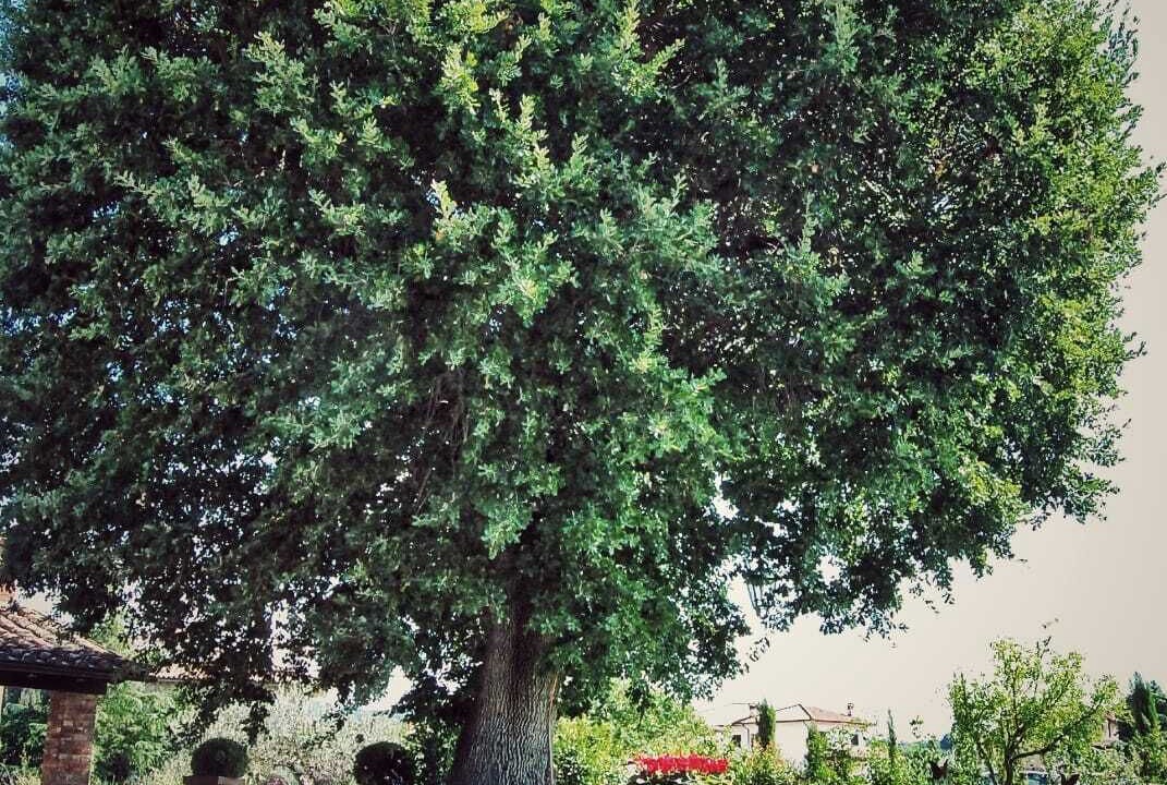 Photo of Outdoor in Citta della Pieve