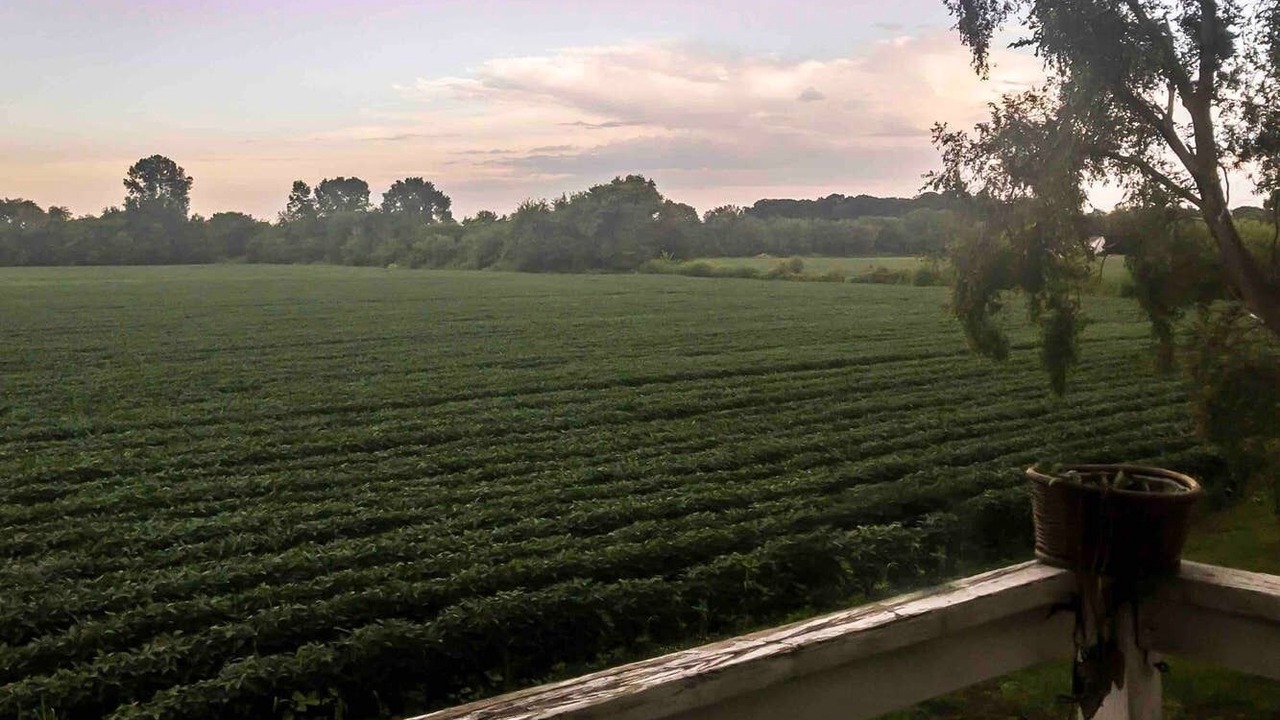Photo of Outdoor in Holland