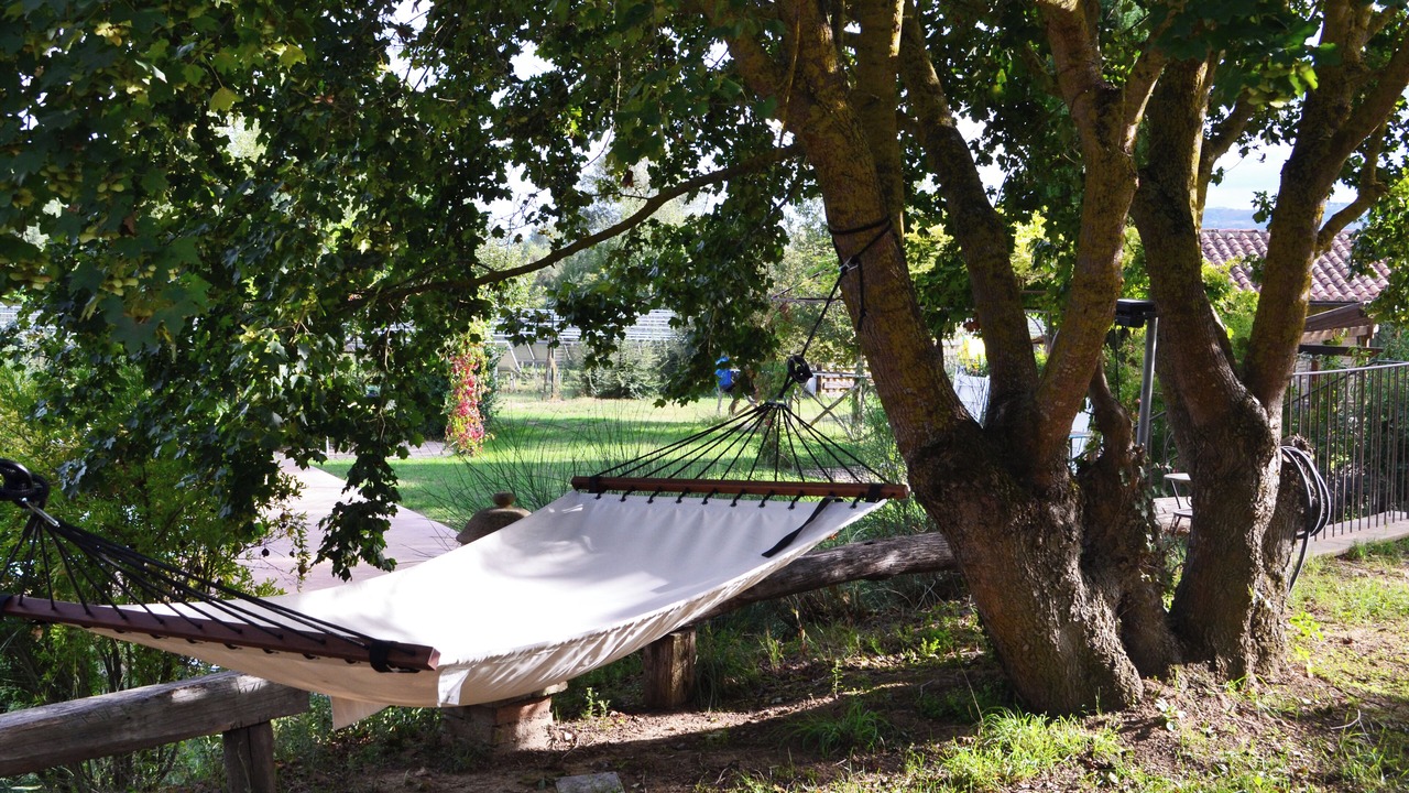 Photo of Outdoor in Monteleone d'Orvieto