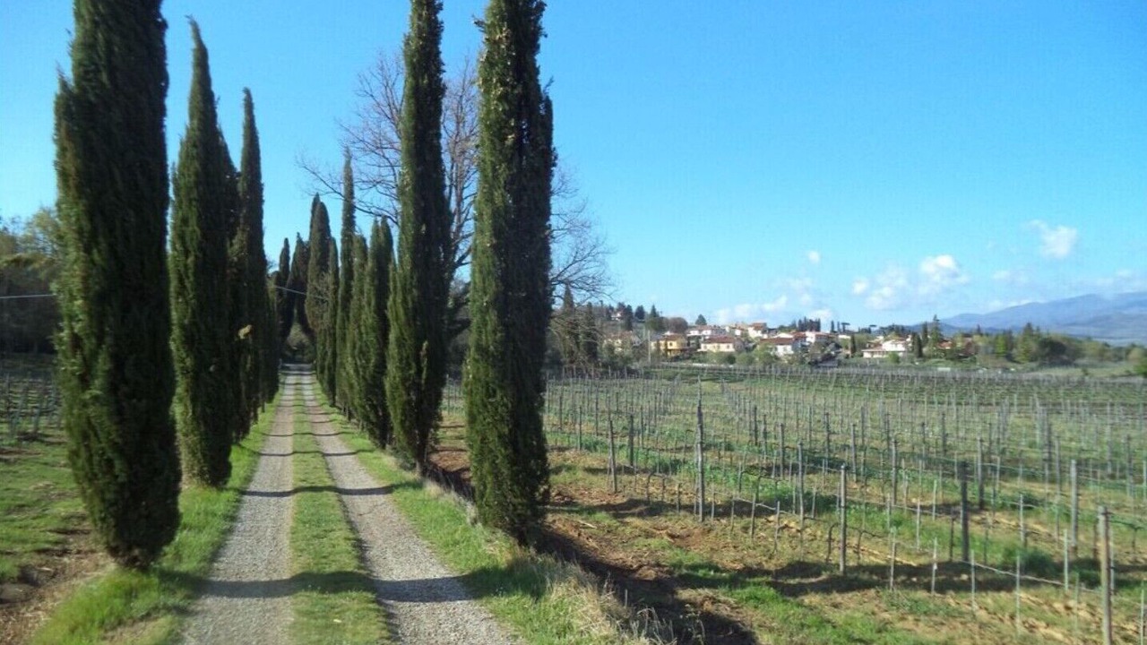 Photo of Outdoor in Arezzo
