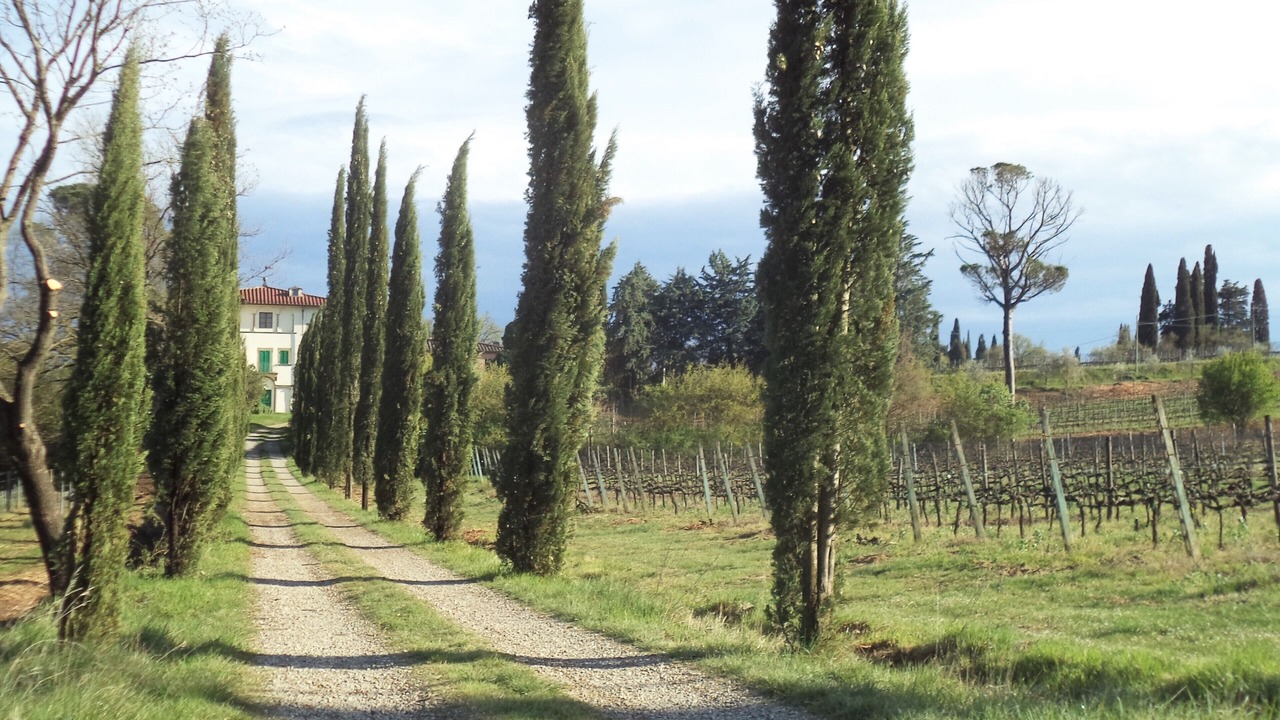Photo of Outdoor in Arezzo
