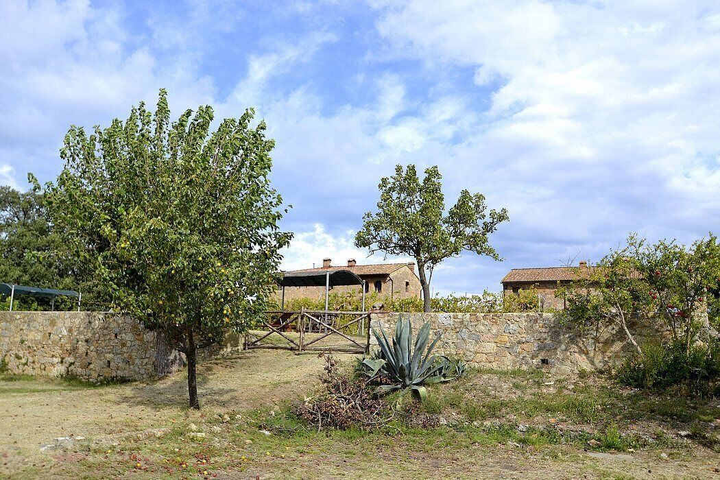 Photo of Outdoor in Monteriggioni