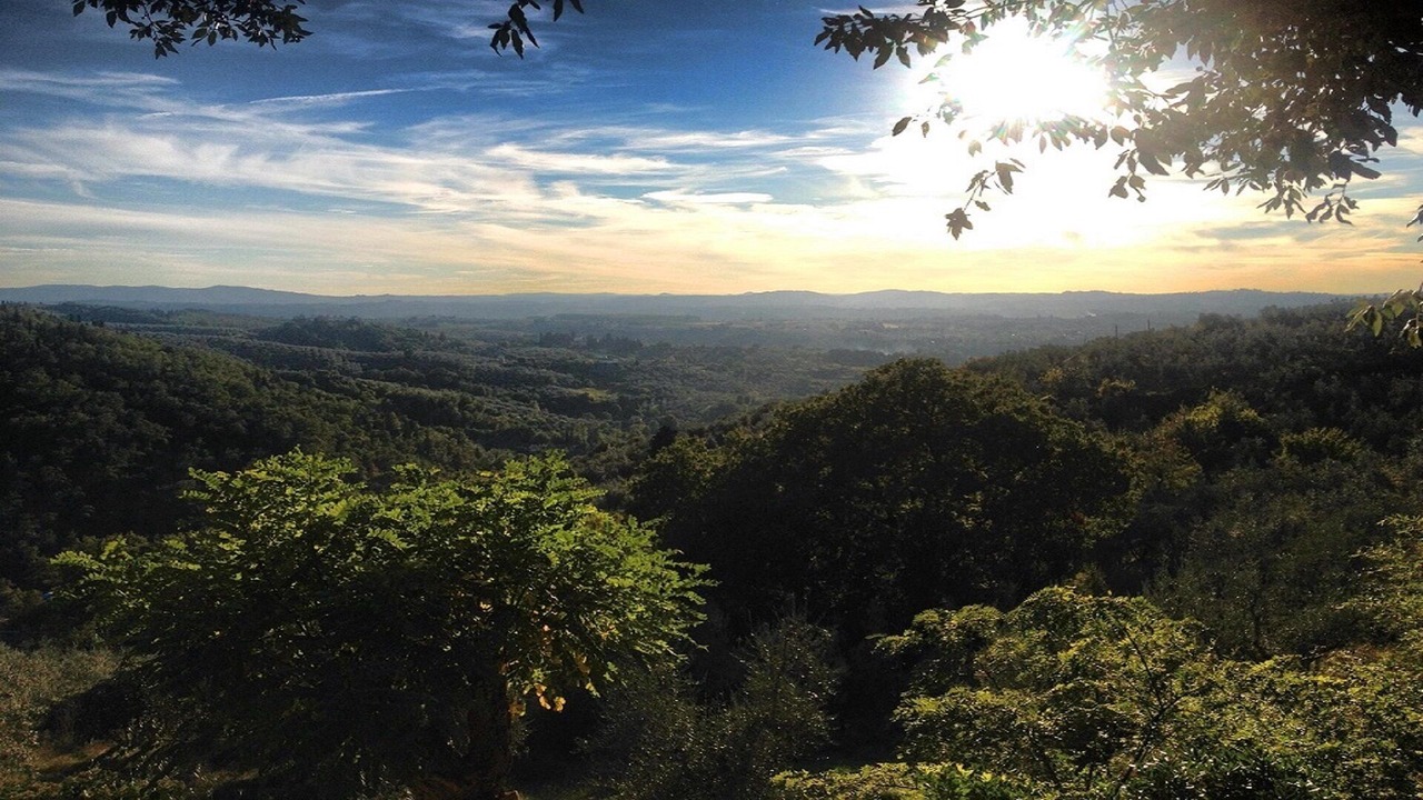 Photo of Outdoor in Bagno a Ripoli