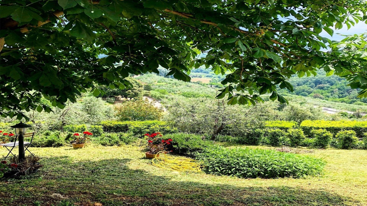 Photo of Outdoor in Bagno a Ripoli