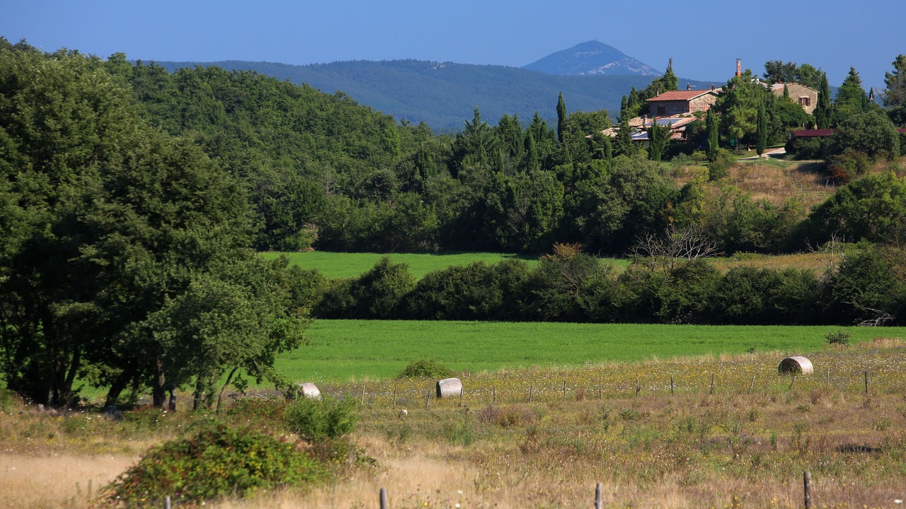 Photo of Outdoor in Torre Alfina