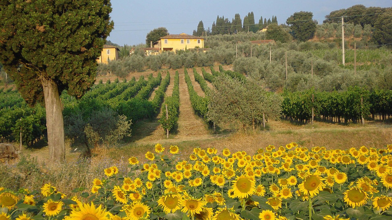 Photo of Outdoor in Bucine