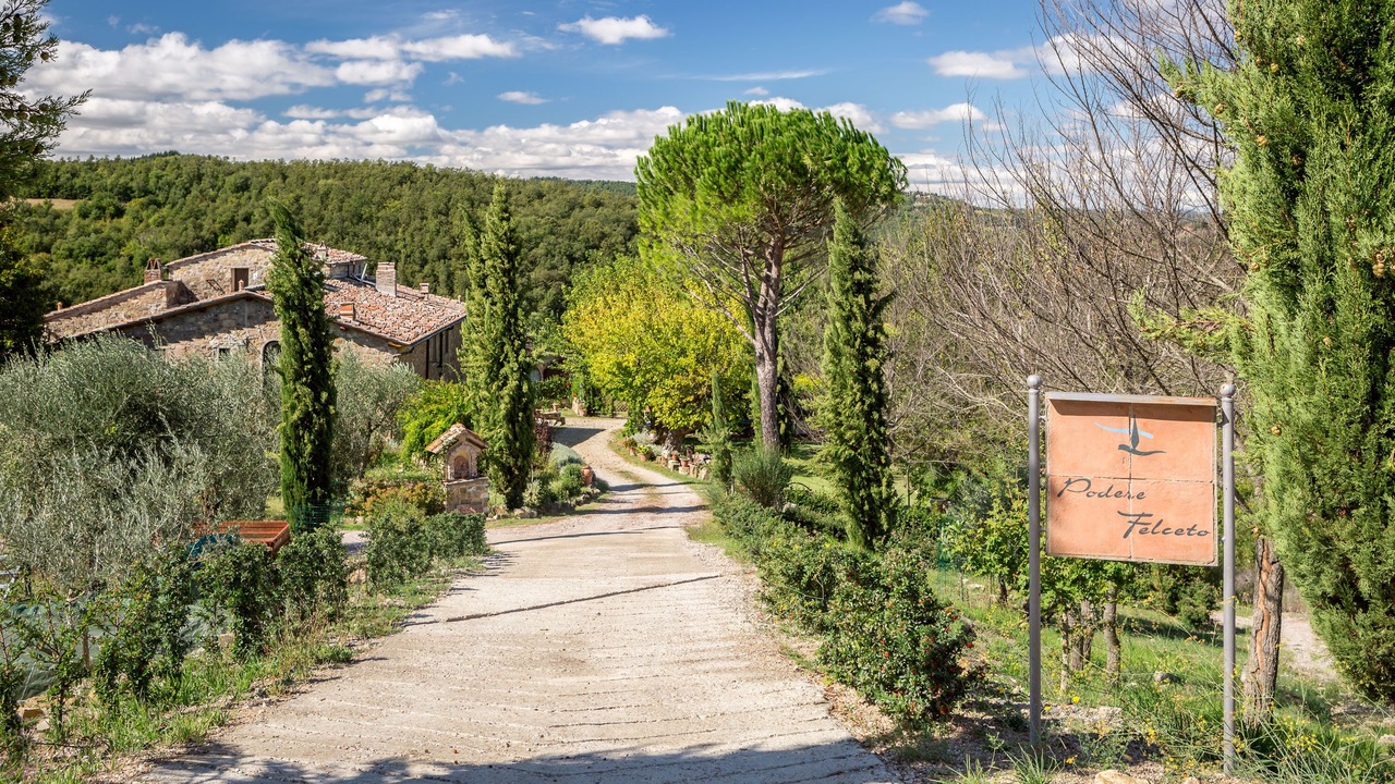 Photo of Outdoor in Greve in Chianti