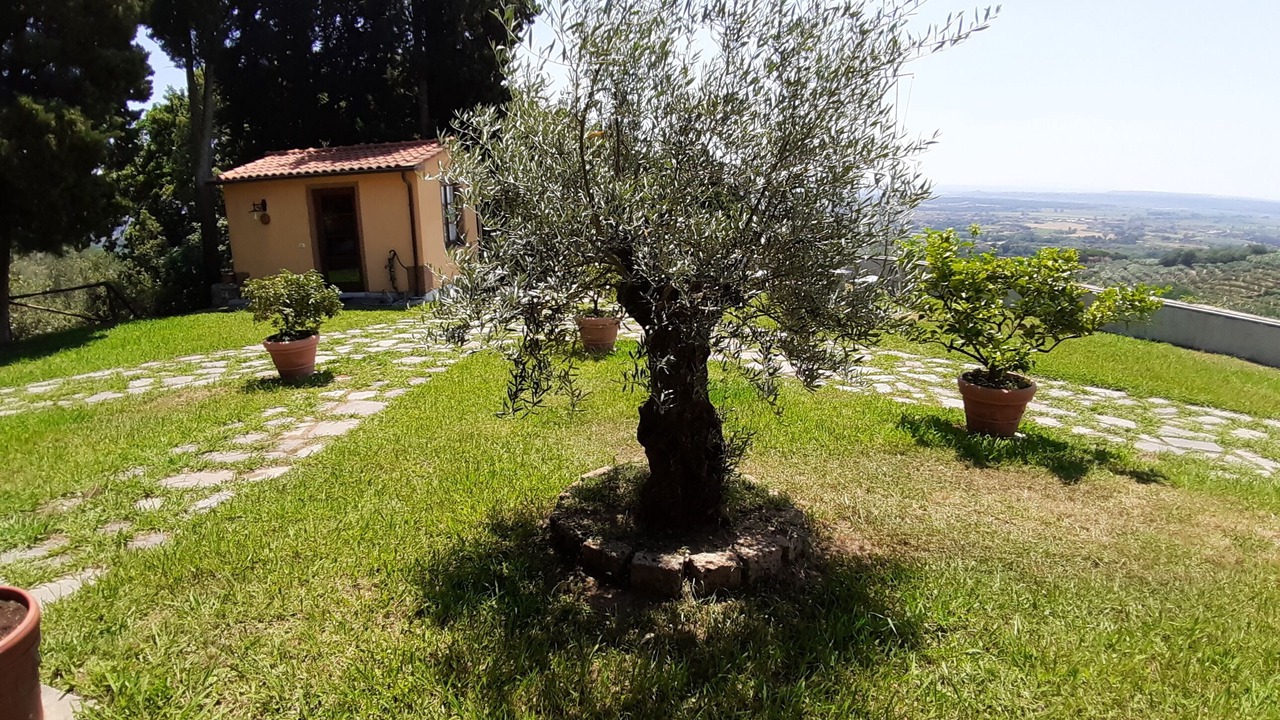 Photo of Outdoor in Monsummano Terme