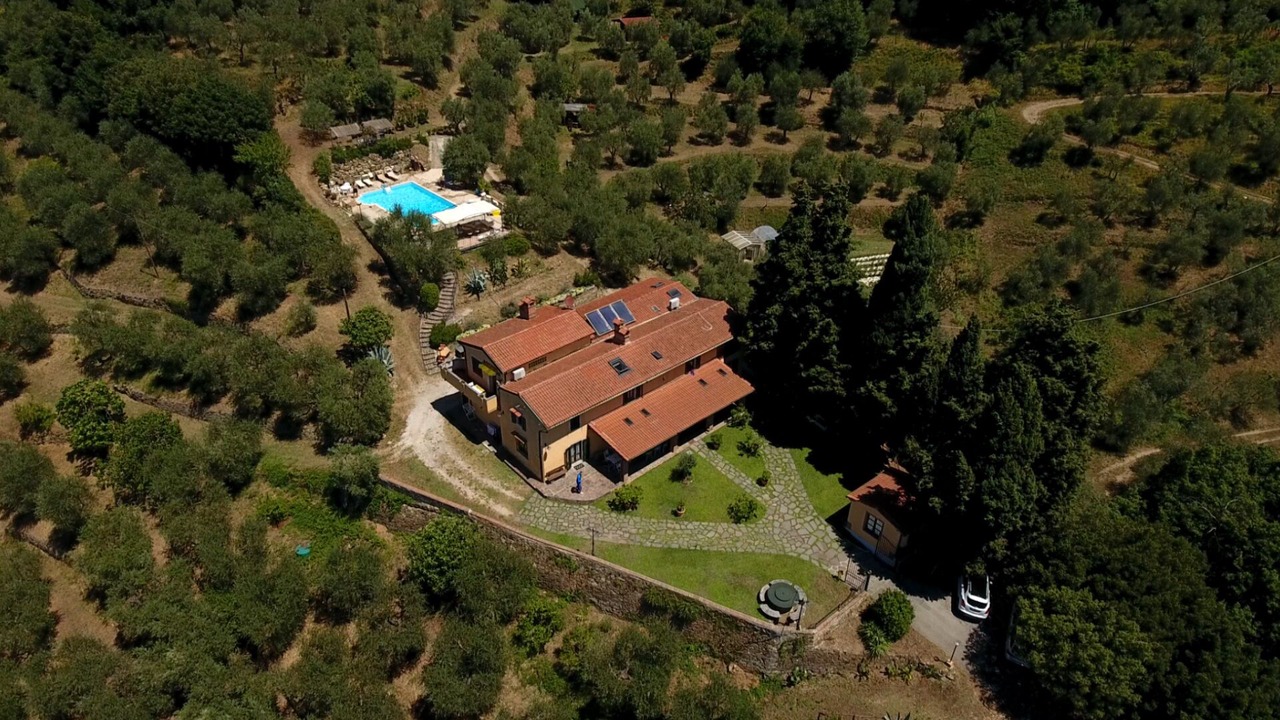 Photo of Outdoor in Monsummano Terme