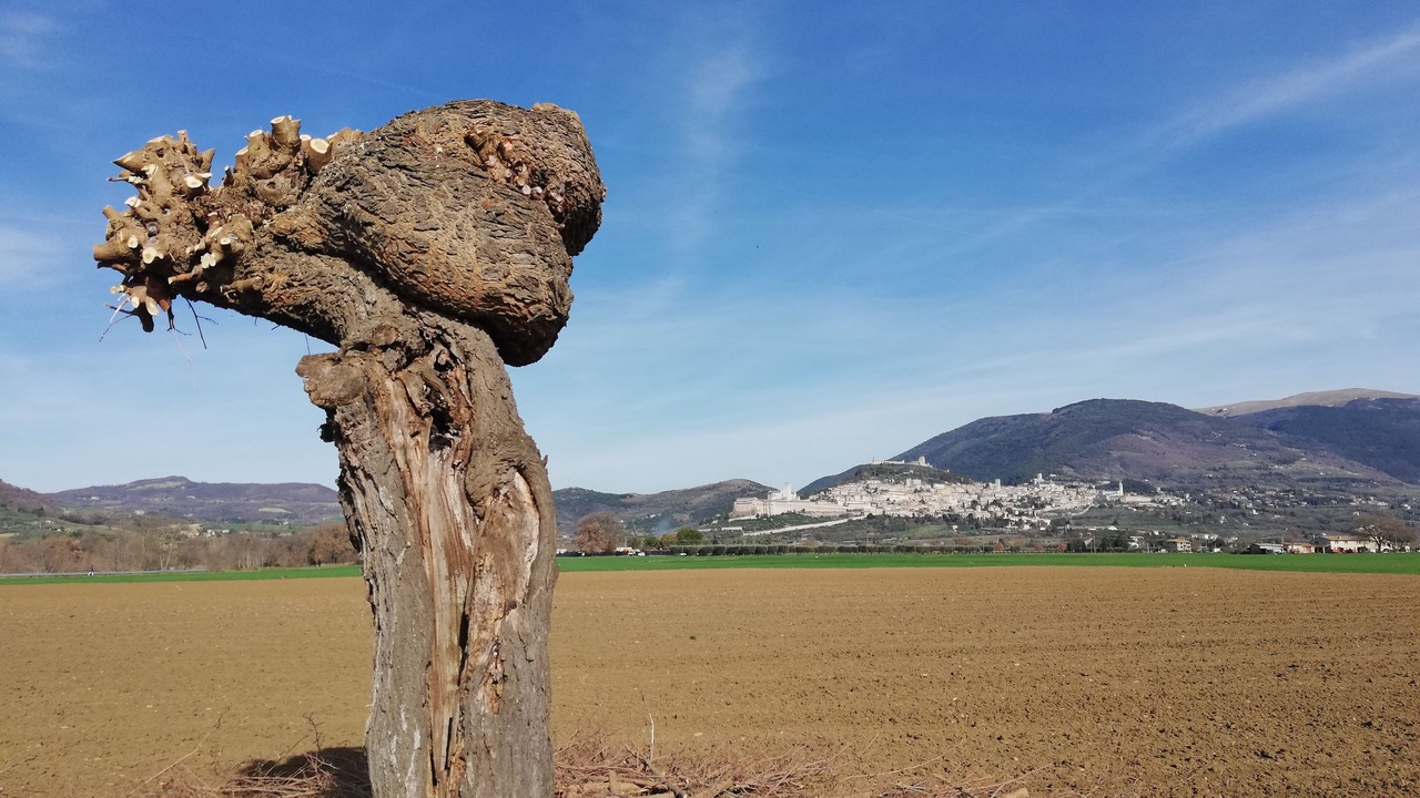 Photo of Outdoor in Assisi