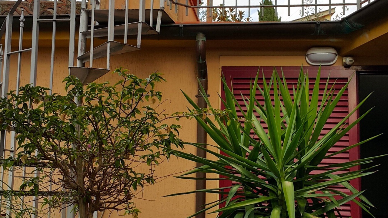 Photo of Outdoor in Foiano della Chiana