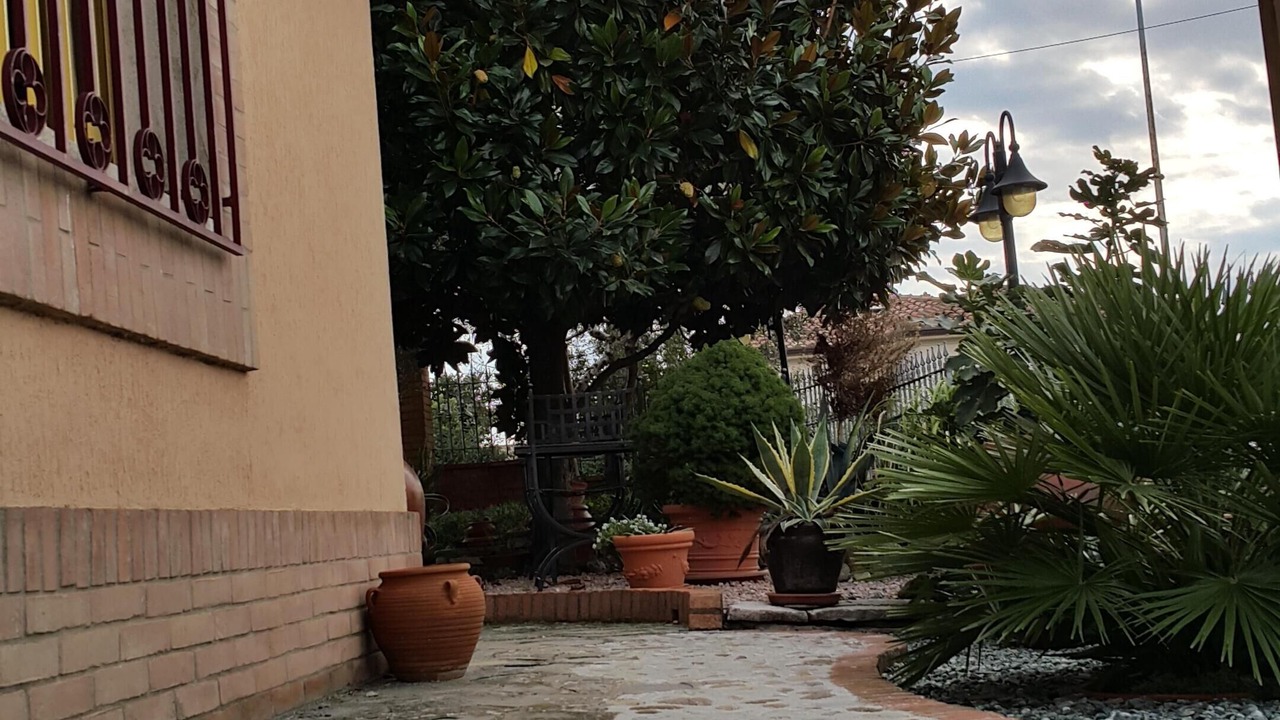 Photo of Outdoor in Foiano della Chiana