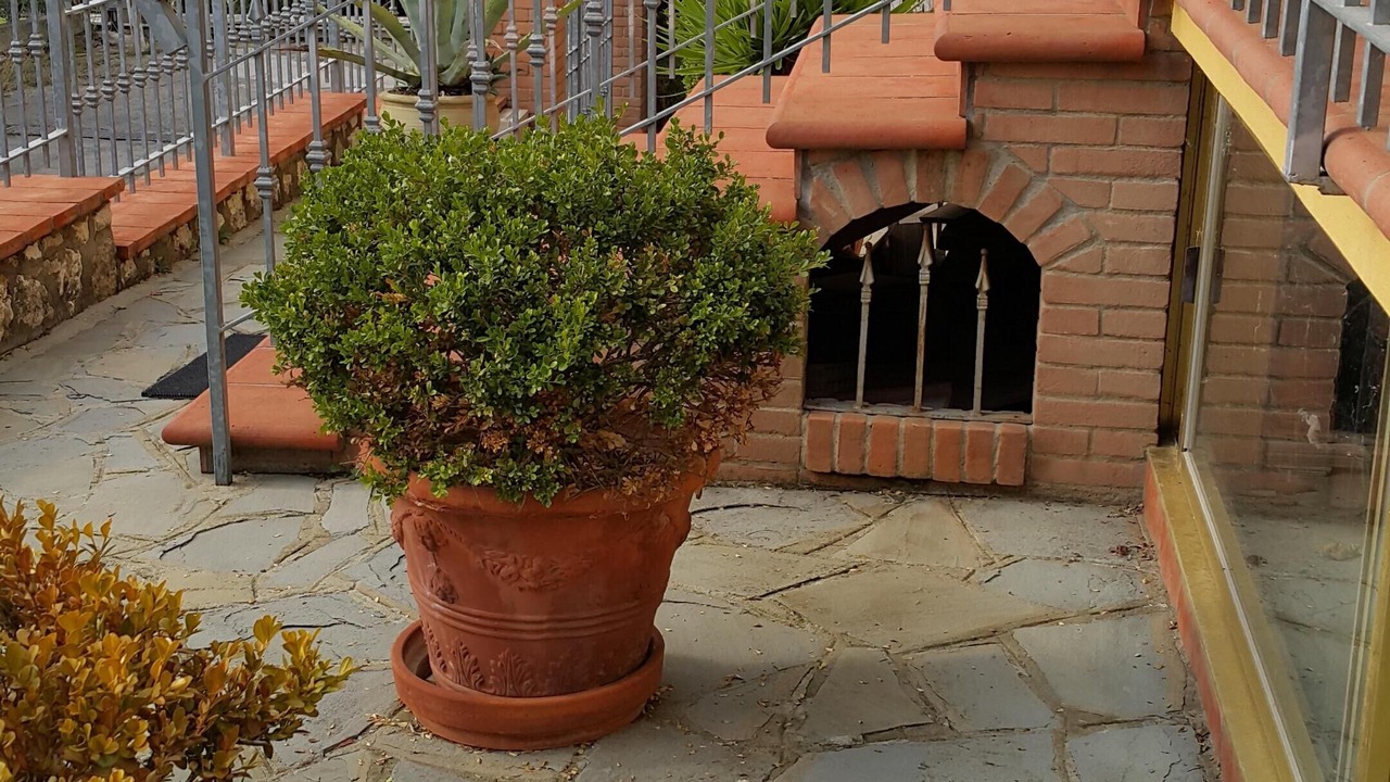 Photo of Outdoor in Foiano della Chiana
