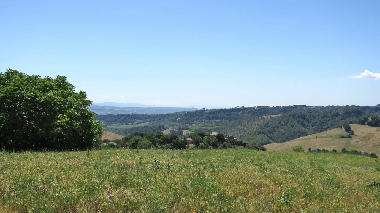 Photo of Others in Castiglione in Teverina